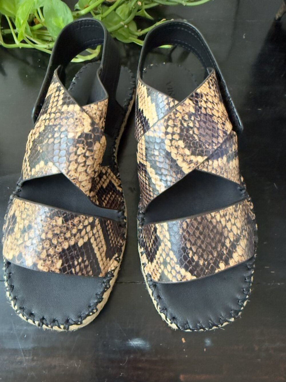 BNIB VINCE Tenison Senegal Snake print sandals